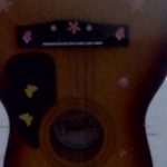 Guitar in Beach on Hawaii