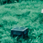 Yard with grass and trash can