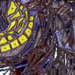 Abstract Monster with yellow eyes