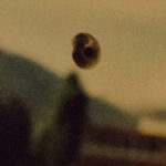 Snail on Window in France