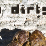Dog Poop on Concrete