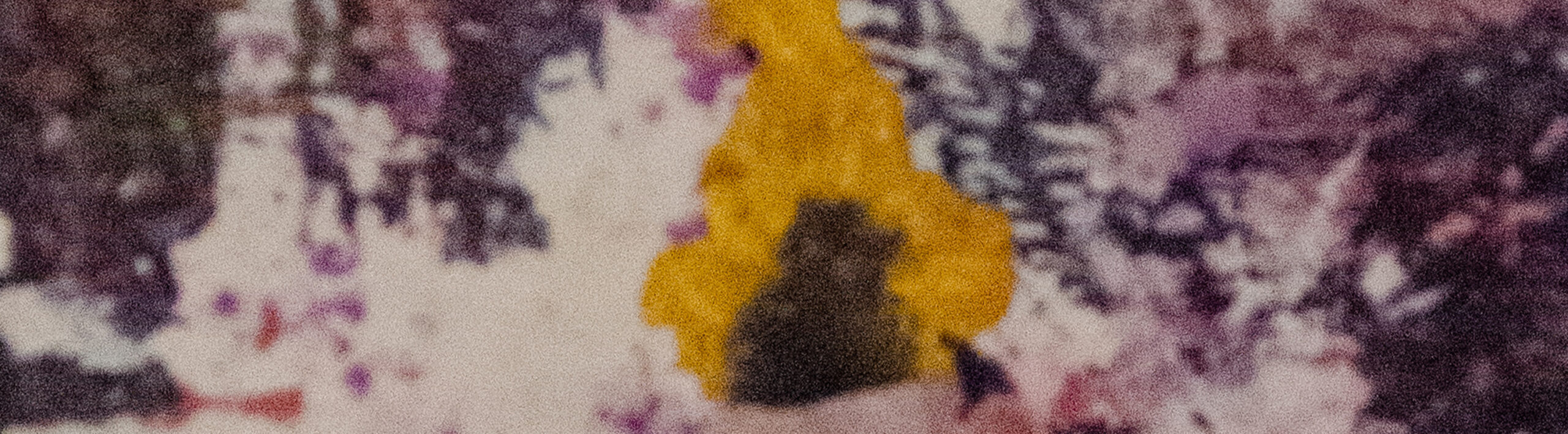 Slate First Reel